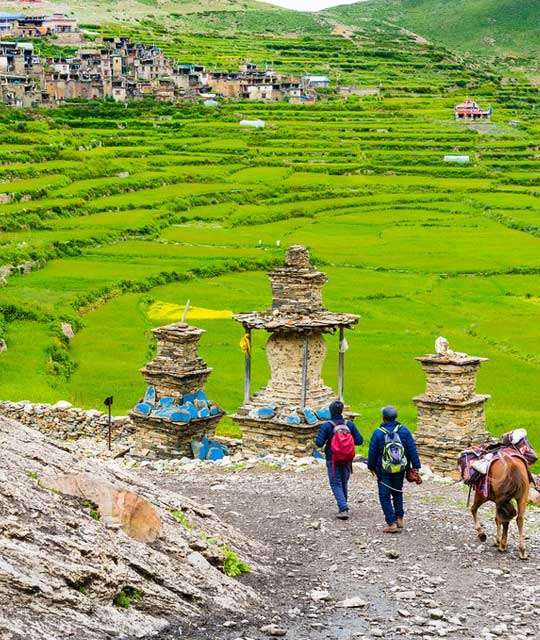 66529-nar-phu-valley.jpg