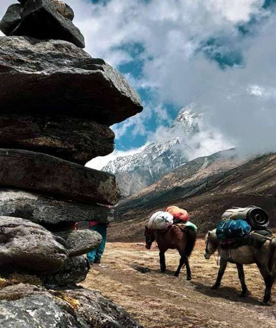 86744-Dzongri-Gochela-Trek-Sikkim.jpg