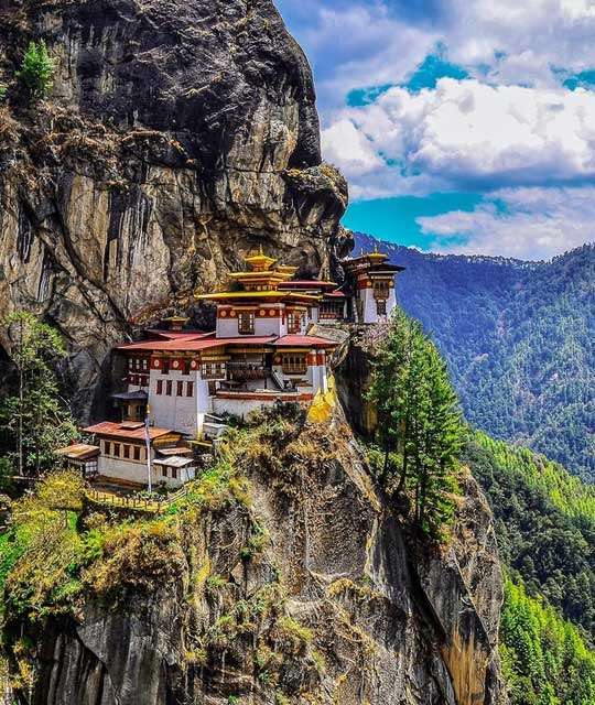 97754-tiger-nest.jpg