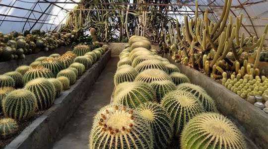 66894-pine-view-nursery.jpg